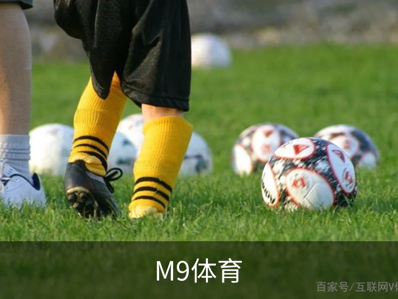 M9体育概况
